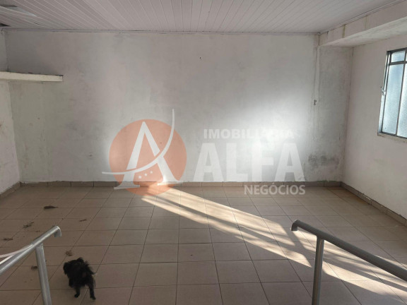 Imagem Imóvel com 6 Quartos para Alugar, 4.000 m² em Parque Dom Henrique - Cotia Imagem Imóvel com 6 Quartos para Alugar, 4.000 m² em Parque Dom Henrique - Cotia