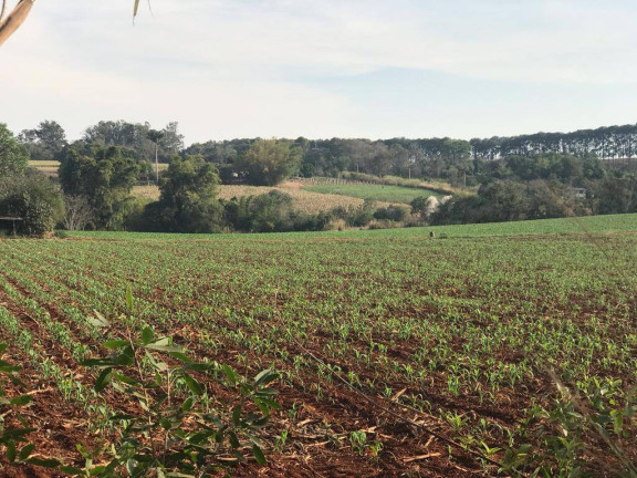 Imagem Terreno à Venda, 253.072 m² em Zona Rural - Araçoiaba Da Serra Imagem Terreno à Venda, 253.072 m² em Zona Rural - Araçoiaba Da Serra