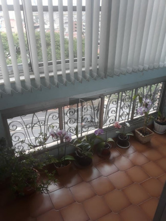 Imagem Apartamento com 3 Quartos à Venda, 118 m² em Vila Monumento - São Paulo
