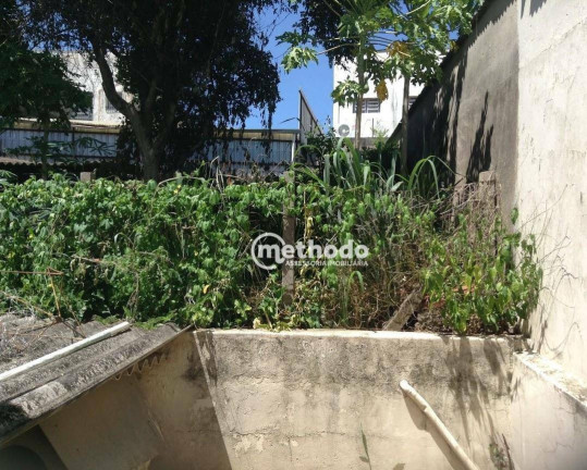 Imagem Casa com 4 Quartos à Venda, 199 m² em Vila Mimosa - Campinas Imagem Casa com 4 Quartos à Venda, 199 m² em Vila Mimosa - Campinas