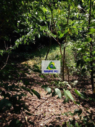 Imagem Fazenda à Venda, 157.300 m² em Centro - Santo Antônio De Posse Imagem Fazenda à Venda, 157.300 m² em Centro - Santo Antônio De Posse