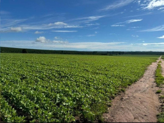 Imagem Imóvel com 5 Quartos à Venda, 5.808.000 m² em Centro - Avaré Imagem Imóvel com 5 Quartos à Venda, 5.808.000 m² em Centro - Avaré