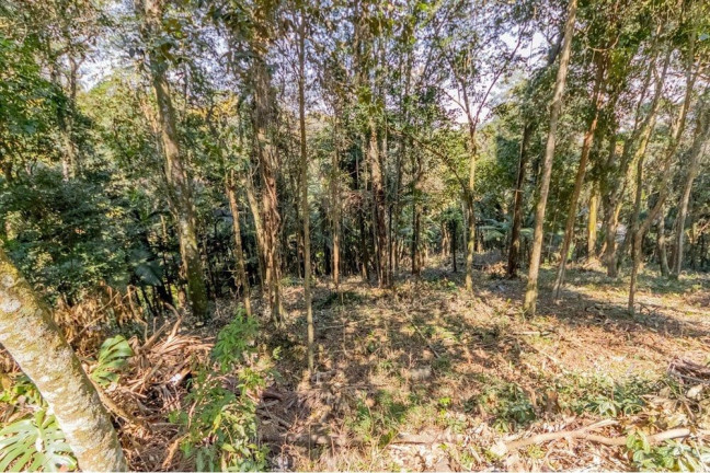 Imagem Terreno à Venda, 5.339 m² em Condomínio Iolanda - Taboão Da Serra