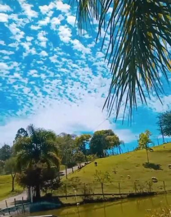 Imagem Imóvel com 6 Quartos à Venda, 300 m² em Areia Branca Dos Assis - Mandirituba