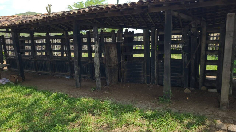 Imagem Chácara à Venda, em Belém Imagem Chácara à Venda, em Belém