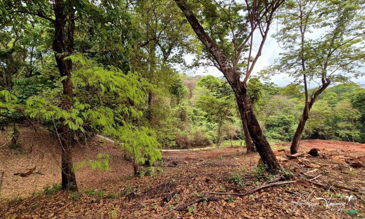 Imagem Terreno à Venda, 1.925 m² em Residencial Aldeia Do Vale - Goiânia Imagem Terreno à Venda, 1.925 m² em Residencial Aldeia Do Vale - Goiânia