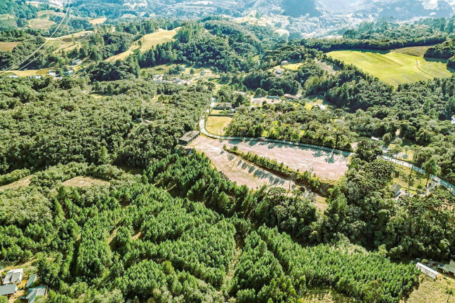 Imagem Imóvel à Venda, 63.000 m² em área Rural De São José Dos Pinhais - São José Dos Pinhais Imagem Imóvel à Venda, 63.000 m² em área Rural De São José Dos Pinhais - São José Dos Pinhais