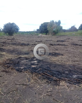 Imóvel à Venda,  em Zona Rural - Patis