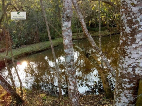 Imagem Fazenda à Venda, 18.000 m² em Canguera - São Roque Imagem Fazenda à Venda, 18.000 m² em Canguera - São Roque