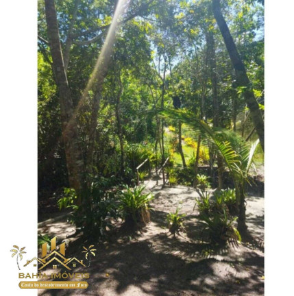 Imagem Terreno à Venda, 300 m² em Coroa Vermelha - Santa Cruz Cabrália Imagem Terreno à Venda, 300 m² em Coroa Vermelha - Santa Cruz Cabrália