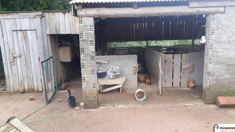 Imagem Imóvel com 2 Quartos à Venda, 95 m² em Zona Rural - Sentinela Do Sul Imagem Imóvel com 2 Quartos à Venda, 95 m² em Zona Rural - Sentinela Do Sul