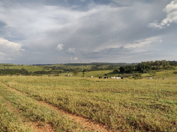 Imagem Imóvel à Venda, 10 m² em área Rural De Avaí - Avaí Imagem Imóvel à Venda, 10 m² em área Rural De Avaí - Avaí