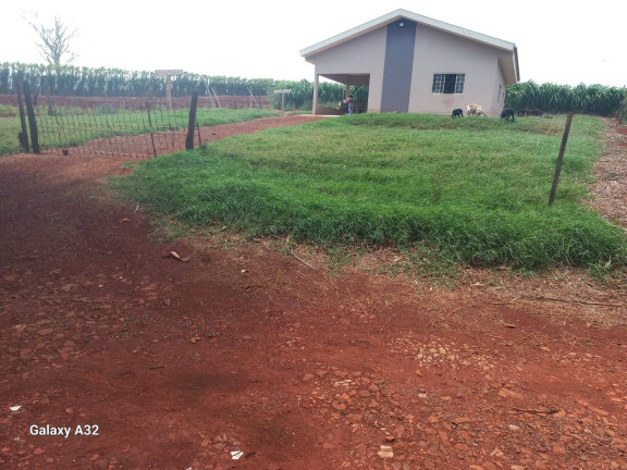 Chácara com 3 Quartos à Venda, 42.000 m² em Arapongas