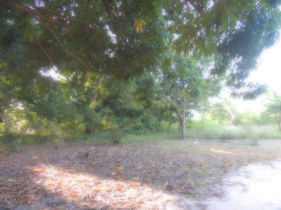 Imagem Terreno à Venda, 13 m² em Camará - Aquiraz Imagem Terreno à Venda, 13 m² em Camará - Aquiraz