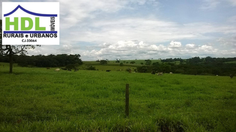 Imagem Fazenda à Venda, 38 m² em Zona Rural - Piracanjuba Imagem Fazenda à Venda, 38 m² em Zona Rural - Piracanjuba