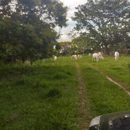 Imagem Fazenda à Venda, 179 m² em Rural - Garça Imagem Fazenda à Venda, 179 m² em Rural - Garça