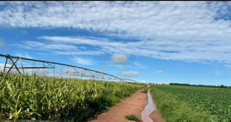 Imagem Imóvel com 5 Quartos à Venda, 5.808.000 m² em Centro - Avaré Imagem Imóvel com 5 Quartos à Venda, 5.808.000 m² em Centro - Avaré