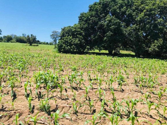 Imagem Terreno à Venda, em Farias - Araçoiaba Da Serra Imagem Terreno à Venda, em Farias - Araçoiaba Da Serra