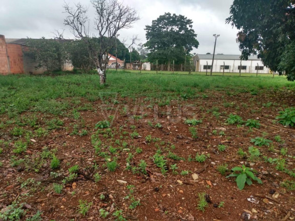 Imagem Imóvel com 1 Quarto à Venda, 2.970 m² em Vila Apolo - Itapetininga Imagem Imóvel com 1 Quarto à Venda, 2.970 m² em Vila Apolo - Itapetininga