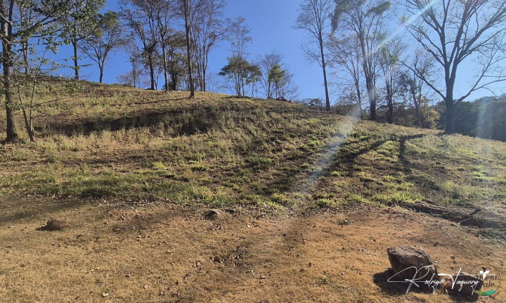 Terreno à Venda, 2.000 m² em Residencial Aldeia Do Vale - Goiânia