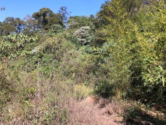 Imagem Terreno à Venda, 5.017 m² em Chácara Das Candeias - Carapicuíba Imagem Terreno à Venda, 5.017 m² em Chácara Das Candeias - Carapicuíba