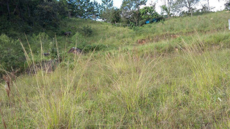Imóvel Comercial à Venda, 17.537 m² em Tijuco Preto - Jundiaí