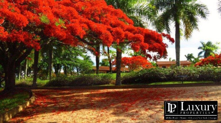 Imagem Chácara com 8 Quartos à Venda, em Centro - Santo Antônio De Posse Imagem Chácara com 8 Quartos à Venda, em Centro - Santo Antônio De Posse