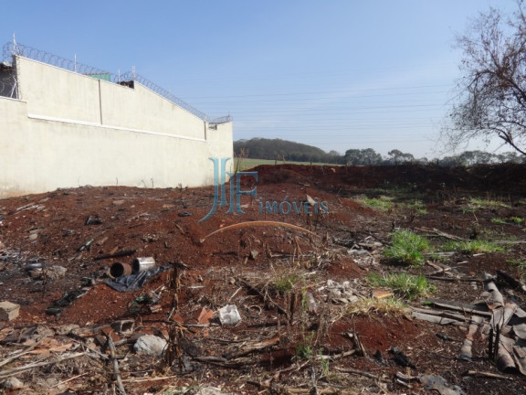 Imagem Terreno à Venda, 250 m² em Jardim Palmares - Ribeirão Preto Imagem Terreno à Venda, 250 m² em Jardim Palmares - Ribeirão Preto