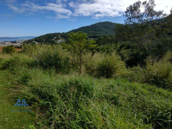 Imagem Terreno à Venda, 533 m² em Itacorubi - Florianópolis