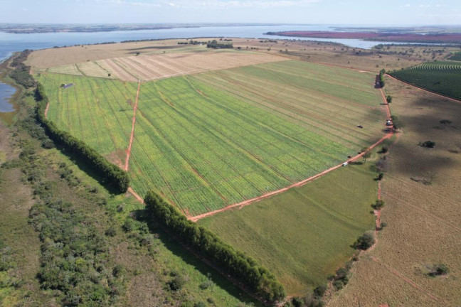 Imagem Fazenda à Venda, 125 m² em Zona Rural - Sud Mennucci Imagem Fazenda à Venda, 125 m² em Zona Rural - Sud Mennucci