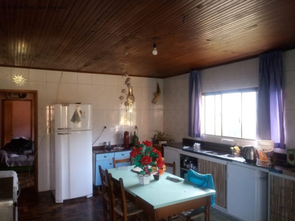 Imagem Casa com 3 Quartos para Alugar, 500 m² em São José Do Caí - Nova Petrópolis Imagem Casa com 3 Quartos para Alugar, 500 m² em São José Do Caí - Nova Petrópolis
