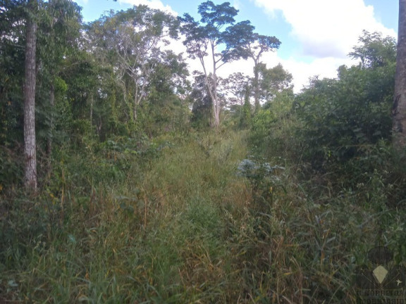 Imagem Imóvel à Venda, 20.000 m² em Roças Novas (caeté - Mg) - Caeté Imagem Imóvel à Venda, 20.000 m² em Roças Novas (caeté - Mg) - Caeté