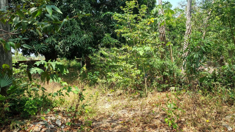 Imagem Terreno à Venda, 4 m² em Camará - Aquiraz Imagem Terreno à Venda, 4 m² em Camará - Aquiraz