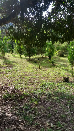 Imagem Casa com 4 Quartos à Venda, 15 m² em Amparo - Nova Friburgo
