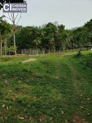 Imagem Chácara com 2 Quartos à Venda, 21.000 m² em Vila Do Salto - Luiz Alves