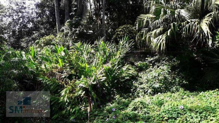 Imagem Terreno à Venda, 1.100 m² em Colônia - Ribeirão Pires Imagem Terreno à Venda, 1.100 m² em Colônia - Ribeirão Pires