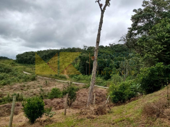 Imagem Fazenda à Venda, 64.288 m² em Barra Avencal - Rio Dos Cedros Imagem Fazenda à Venda, 64.288 m² em Barra Avencal - Rio Dos Cedros