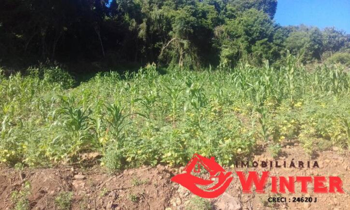 Imagem Chácara à Venda, 634 m² em Bananal - Feliz Imagem Chácara à Venda, 634 m² em Bananal - Feliz