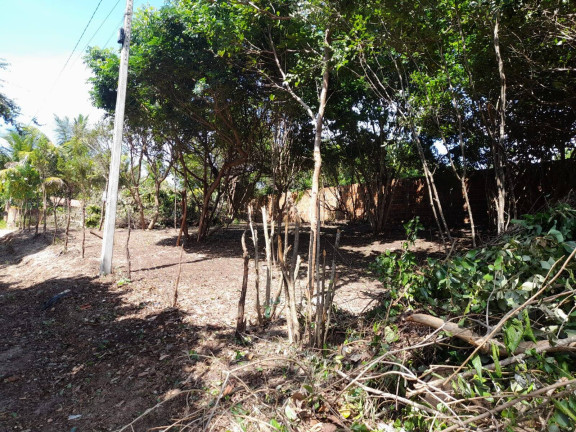 Imagem Terreno à Venda, 420 m² em Imediações Do Anel Viário De Pipa - Tibau Do Sul Imagem Terreno à Venda, 420 m² em Imediações Do Anel Viário De Pipa - Tibau Do Sul