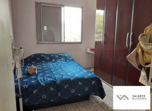 Imagem Apartamento com 2 Quartos à Venda, 66 m² em Jardim Valparaíba - São José Dos Campos Imagem Apartamento com 2 Quartos à Venda, 66 m² em Jardim Valparaíba - São José Dos Campos
