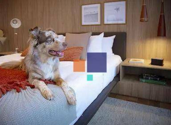 Imagem Apartamento com 3 Quartos à Venda, 317 m² em Indianópolis - São Paulo Imagem Apartamento com 3 Quartos à Venda, 317 m² em Indianópolis - São Paulo