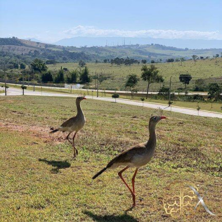 Imagem Terreno em Condomínio à Venda, 315 m² em Loteamento Residencial Fazenda Casa Grande - Taubaté Imagem Terreno em Condomínio à Venda, 315 m² em Loteamento Residencial Fazenda Casa Grande - Taubaté