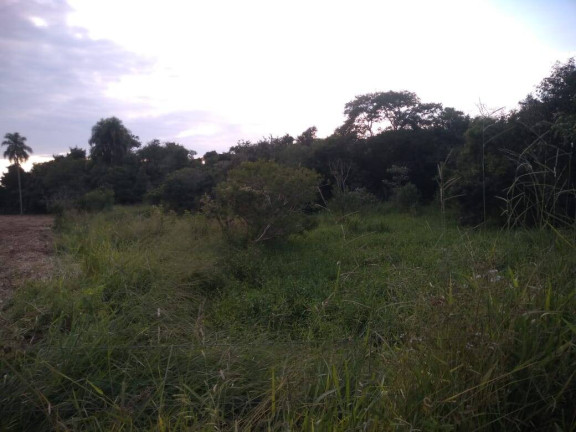 Imagem Chácara à Venda, 36 m² em Itarassú - Capela Do Alto