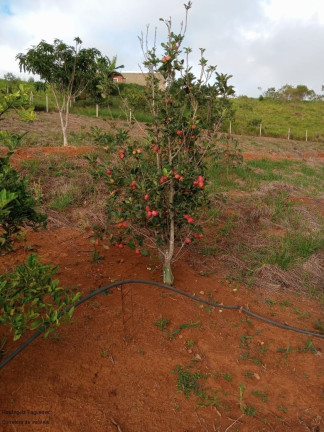 Imagem Imóvel com 2 Quartos à Venda, 90 m² em Zona Rural - Caldas