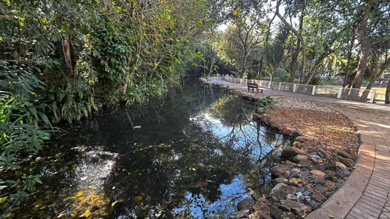 Imagem Terreno à Venda, 1.222 m² em Jardim Ana Cristina - Foz Do Iguaçu Imagem Terreno à Venda, 1.222 m² em Jardim Ana Cristina - Foz Do Iguaçu
