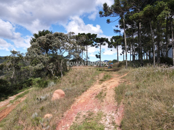 Imagem Terreno à Venda, 2.420 m² em Região De Descansópolis - Campos Do Jordão Imagem Terreno à Venda, 2.420 m² em Região De Descansópolis - Campos Do Jordão