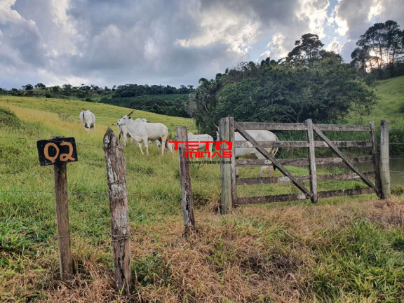 Imagem Imóvel à Venda, em Amparo - Santo Antônio Do Amparo Imagem Imóvel à Venda, em Amparo - Santo Antônio Do Amparo