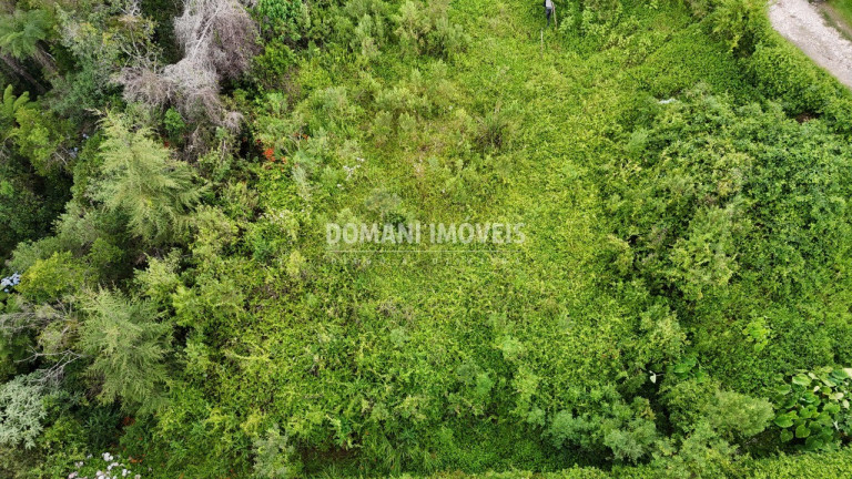 Imagem Terreno à Venda, 1.590 m² em Região De Capivari - Campos Do Jordão