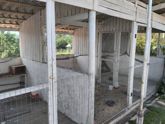 Imagem Chácara com 3 Quartos à Venda, 180 m² em Campo Alegre