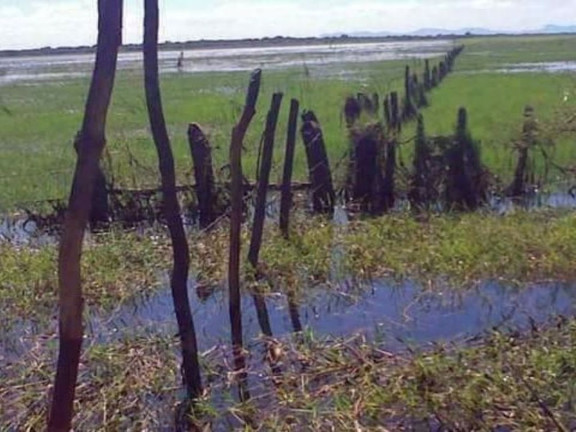 Imagem Fazenda à Venda, 200 m² em Zona Rural - Pilão Arcado Imagem Fazenda à Venda, 200 m² em Zona Rural - Pilão Arcado